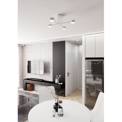 Bevestigde hanglamp HALO 4xGX53/10W/230V wit