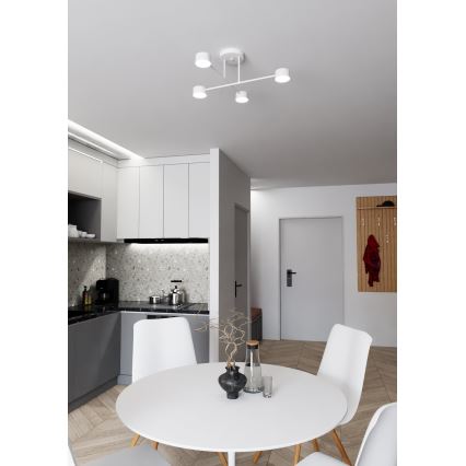 Bevestigde hanglamp HALO 4xGX53/10W/230V wit