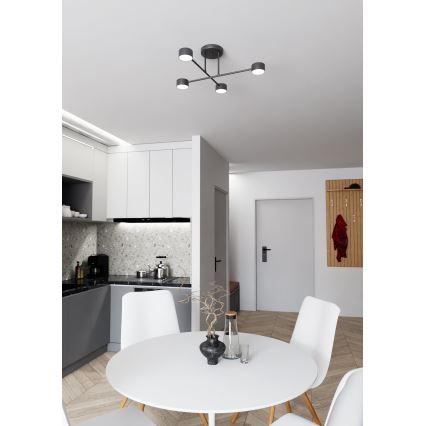 Bevestigde hanglamp HALO 4xGX53/10W/230V zwart