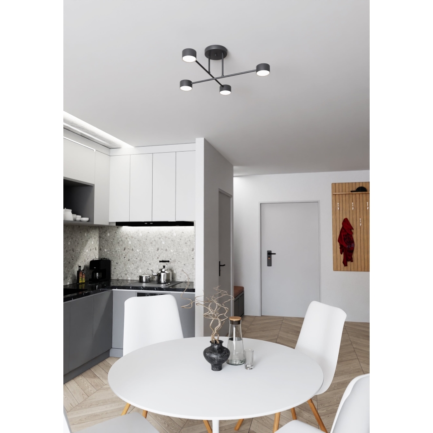 Bevestigde hanglamp HALO 4xGX53/10W/230V zwart
