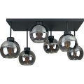 Bevestigde hanglamp NESSA 6xE27/60W/230V zwart/gerookt zwart