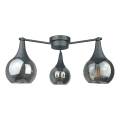 Bevestigde hanglamp STAR 3xE27/60W/230V zwart/gerookt zwart