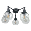 Bevestigde hanglamp STAR 5xE27/60W/230V zwart/doorzichtig