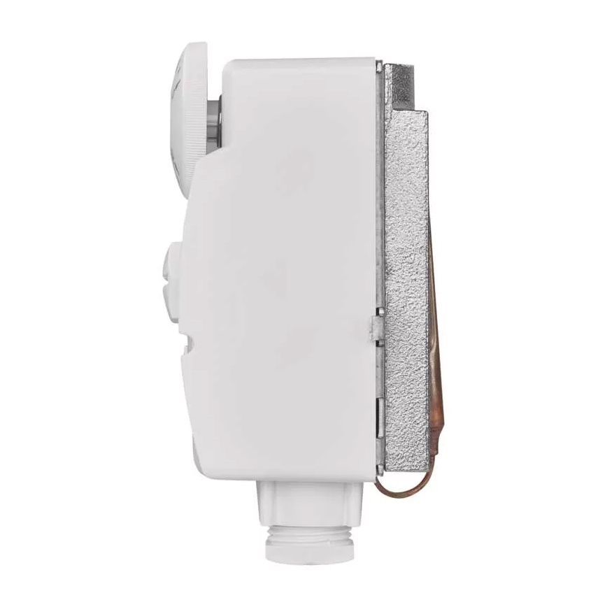 Bevestigde Thermostaat 230V