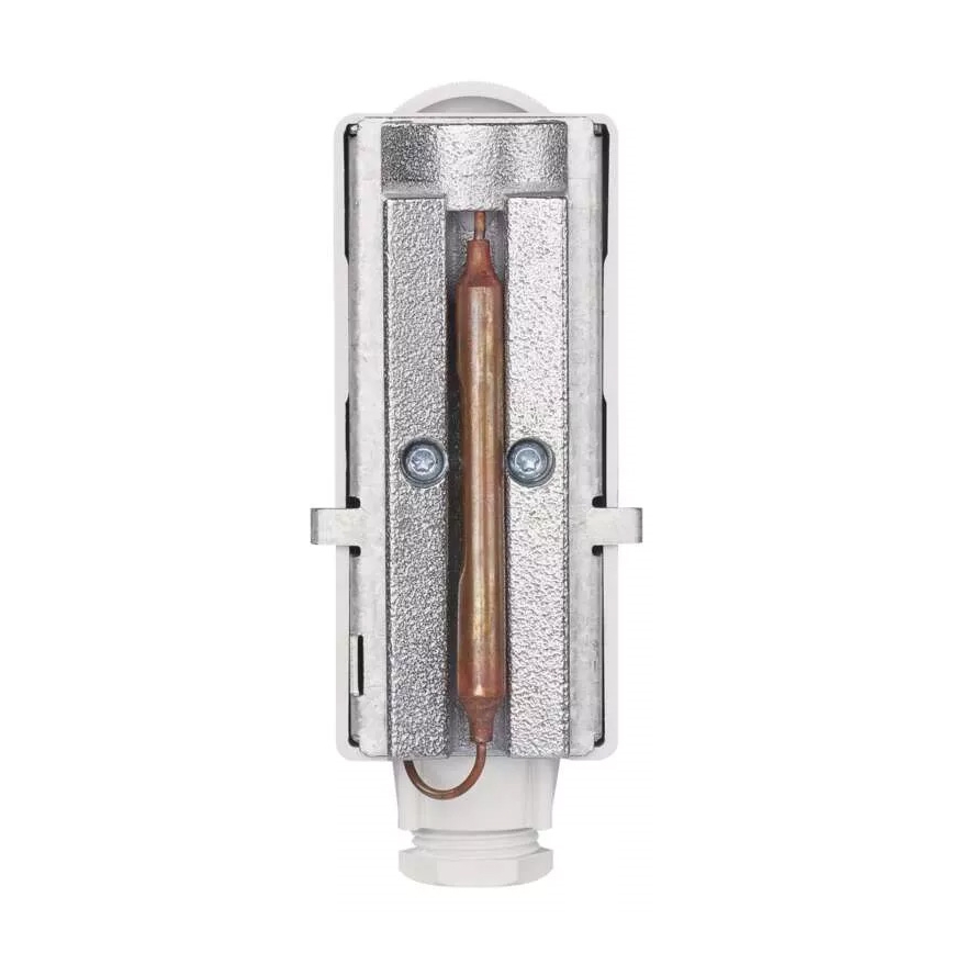 Bevestigde Thermostaat 230V