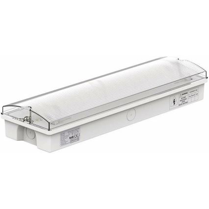 Bloc de secours LED avec un regular functionality test EMERGENCY EXIT LED/3W/230V 6400K IP65