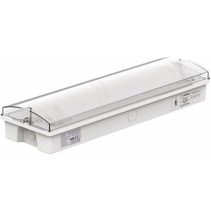 Bloc de secours LED avec un regular functionality test EMERGENCY EXIT LED/3W/230V 6400K IP65