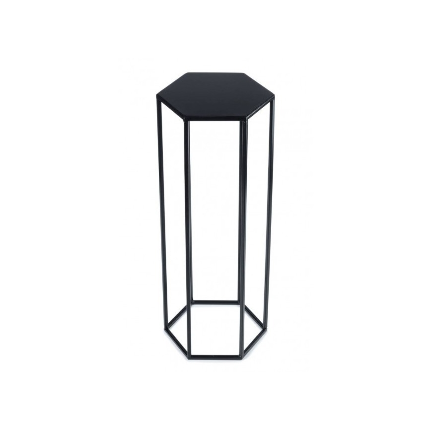 Bloemen/Planten standaard 70x24 cm zwart