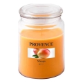 Bougie parfumée MANGO 510 g — 85–95 h de combustion