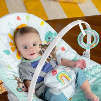 Bright Starts - Vibrerend wipstoeltje voor baby's WILD VIBES 1xLR14