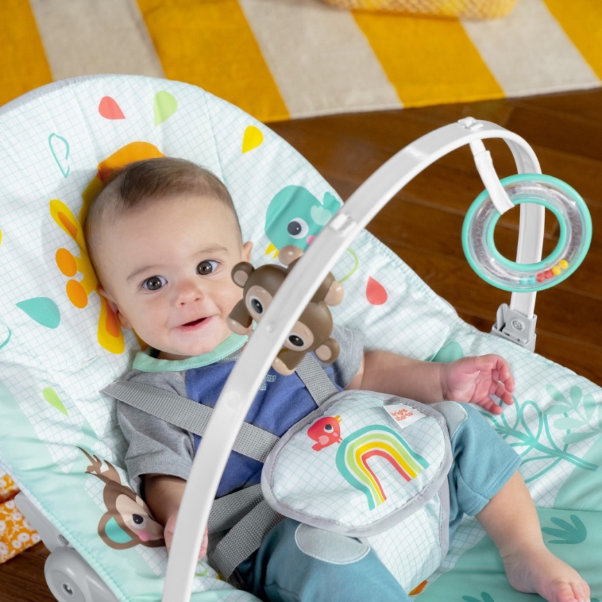 Bright Starts - Vibrerend wipstoeltje voor baby's WILD VIBES 1xLR14
