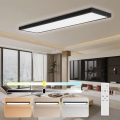 Brilagi - Applique de Salle de Bain Dimmable FRAME SMART LED/50W/230V 30x120 cm 3000-6000K IP44 Noir + Télécommande