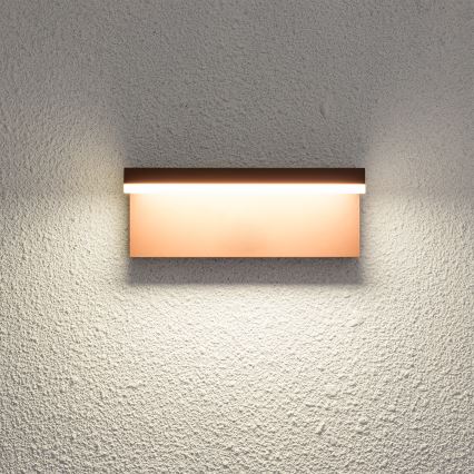 Brilagi - Applique d'extérieur LED TESSI LED/10W/230V marron IP54