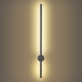 Brilagi - Applique murale d'extérieur AURA LED/12W/230V 3000K IP54 65 cm anthracite
