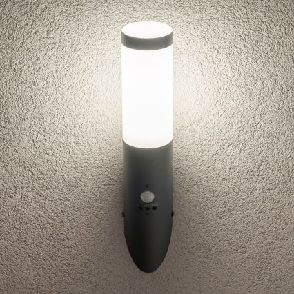 BRILAGI - Applique murale d'extérieur avec détecteur de mouvement ELIA 1xE27/20W/230V IP44 anthracite