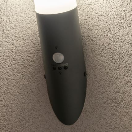 BRILAGI - Applique murale d'extérieur avec détecteur de mouvement ELIA 1xE27/20W/230V IP44 anthracite