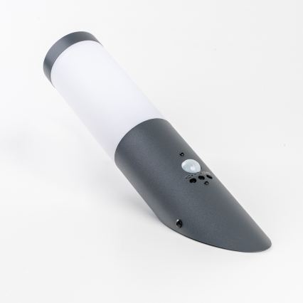 BRILAGI - Applique murale d'extérieur avec détecteur de mouvement ELIA 1xE27/20W/230V IP44 anthracite