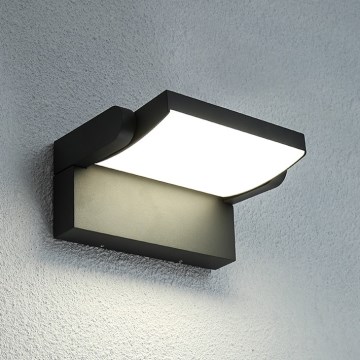 BRILAGI - Applique murale d'extérieur LED ANKLE LED/12W/230V IP65 noire