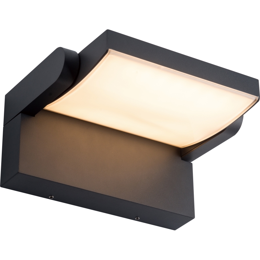 BRILAGI - Applique murale d'extérieur LED ANKLE LED/12W/230V IP65 noire