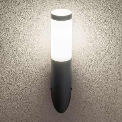 BRILAGI - Applique murale extérieure LED RGBW dimmable ELIA 1xE27/6,5W/230V 2700-6500K IP44 Wi-Fi anthracite