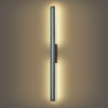 Brilagi - Applique murale d'extérieur LINEO LED/24W/230V 3000K IP65 100 cm anthracite