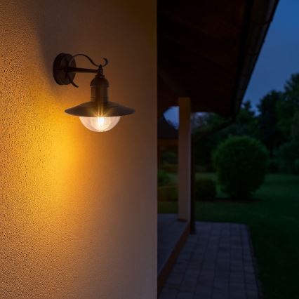 Brilagi - Applique murale d'extérieur MOLDE 1xE27/60W/230V IP44 noire
