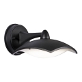 BRILAGI - Applique murale extérieur LUNA LED/8W/230V IP44