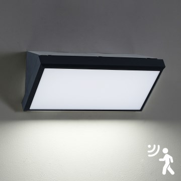 Brilagi - Applique murale extérieure avec détecteur TRIANGLE LED/20W/230V noir IP65