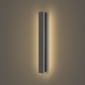 Brilagi - Applique murale extérieure LED LINEAR/12W/230V 3000K IP65 50 cm anthracite