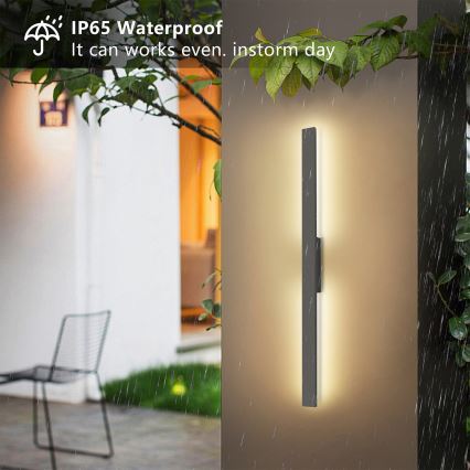 Brilagi - Applique murale extérieure LUNA LED 24W/230V 3000K IP65 100 cm anthracite