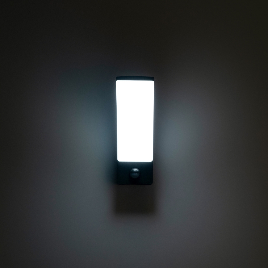 BRILAGI - Applique murale extérieure LED avec détecteur de mouvement et capteur crépusculaire ARCELO LED/12W/230V IP65 noire