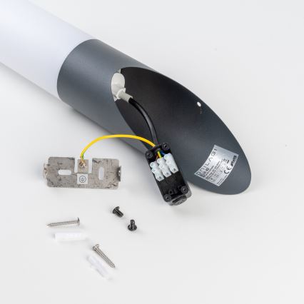 BRILAGI - Applique murale LED d'extérieur ELIA 1x E27/7 W/230 V 4000 K IP44 anthracite