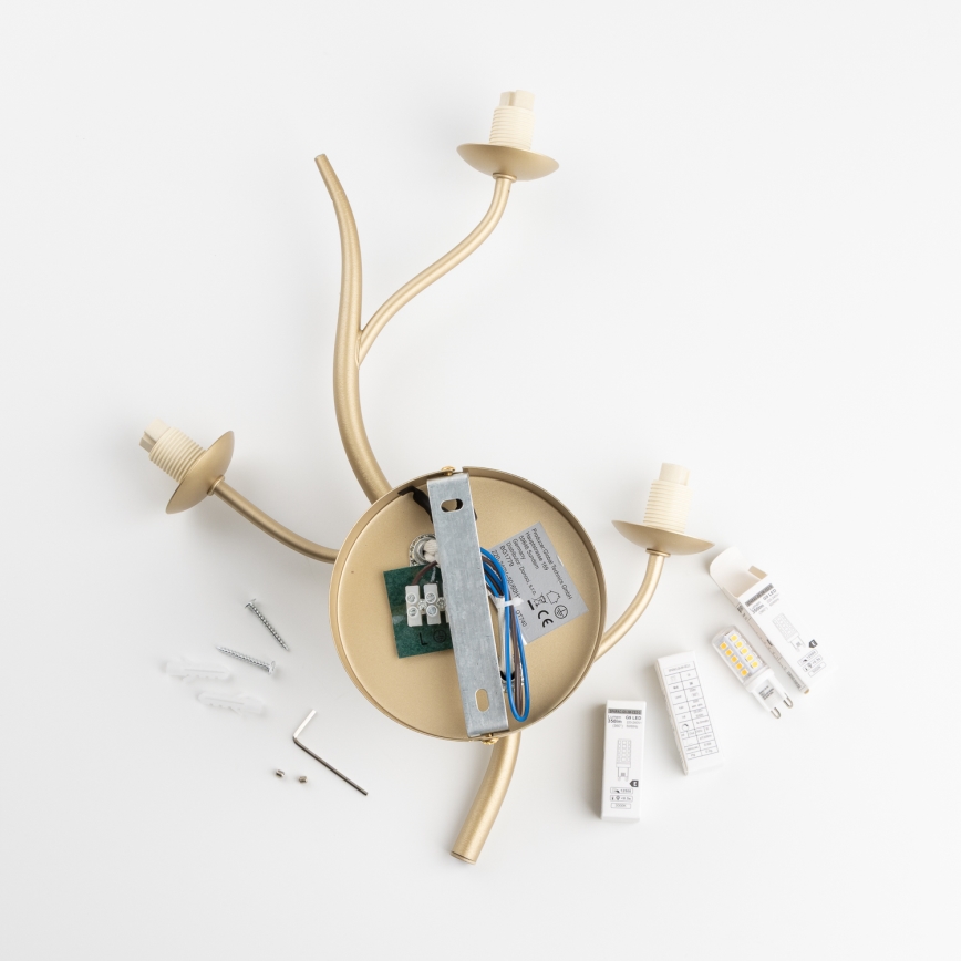 Brilagi - Applique murale LED MISTEL 3xG9/3W/230V doré/blanc