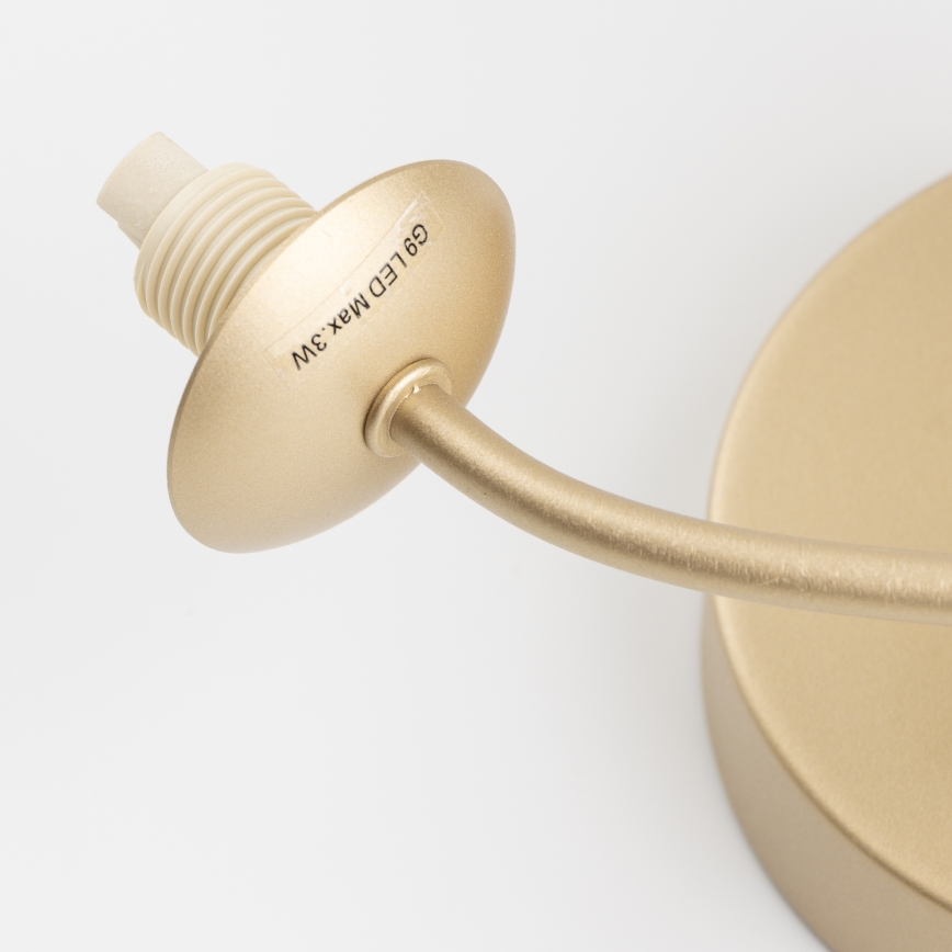 Brilagi - Applique murale LED MISTEL 3xG9/3W/230V doré