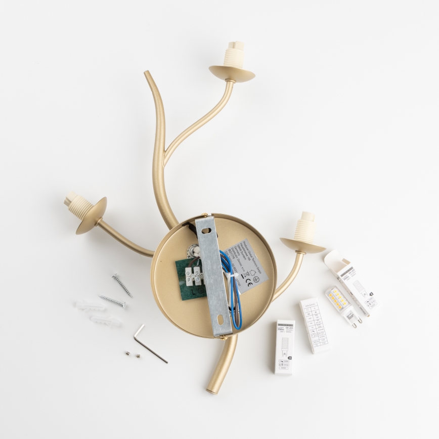 Brilagi - Applique murale LED MISTEL 3xG9/3W/230V doré