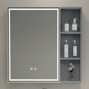 BRILAGI - Armoire miroir de salle de bains LED rétroéclairée AVOLA SINGLE 55x70 cm