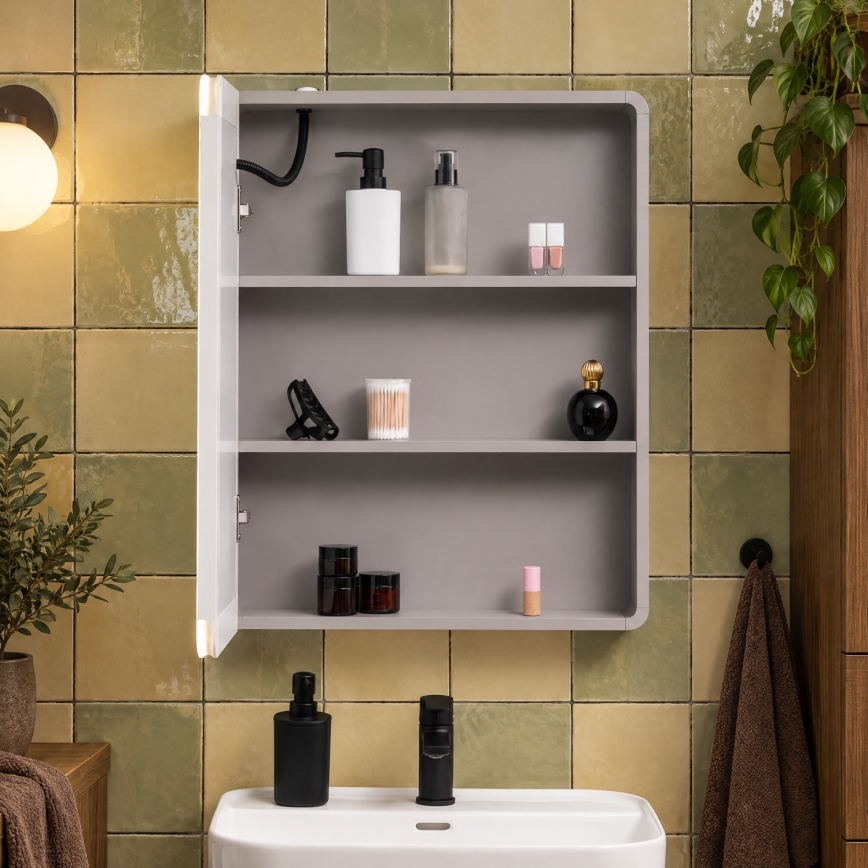 BRILAGI - Armoire miroir de salle de bains LED rétroéclairée AVOLA SINGLE 55x70 cm