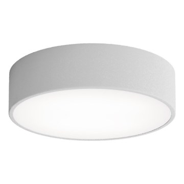 Brilagi - Badkamer plafondlamp CLARE 2xE27/24W/230V diameter 30 cm IP54 grijs