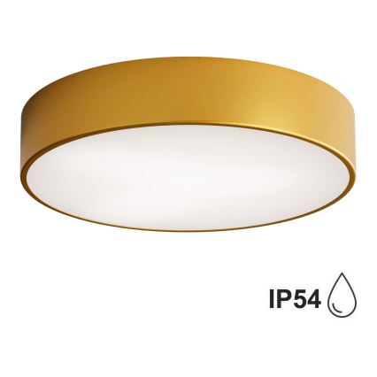 Brilagi - Badkamer plafondlamp CLARE 2xE27/24W/230V diameter 40 cm IP54 goud