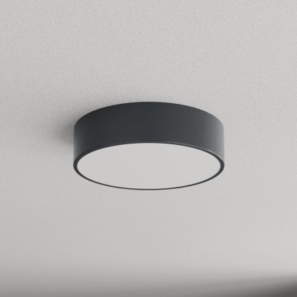 Brilagi - Plafondlamp voor badkamer CLARE 2xE27/24W/230V Ø 30 cm antraciet IP54