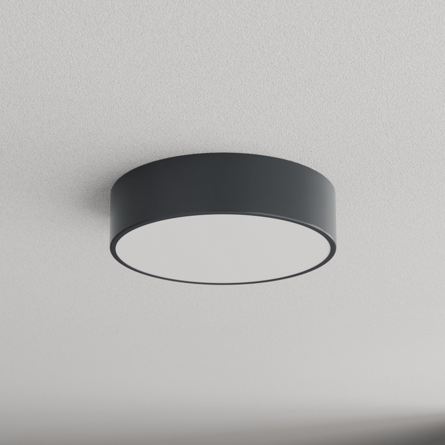 Brilagi - Plafondlamp voor badkamer CLARE 2xE27/24W/230V Ø 30 cm antraciet IP54