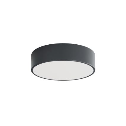 Brilagi - Plafondlamp voor badkamer CLARE 2xE27/24W/230V Ø 30 cm antraciet IP54