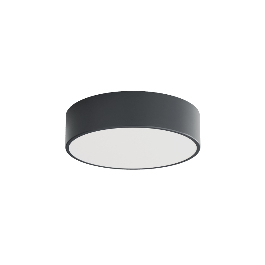 Brilagi - Plafondlamp voor badkamer CLARE 2xE27/24W/230V Ø 30 cm antraciet IP54