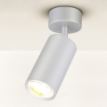 Brilagi - Badkamer spot SELE 1xGU10/30W/230V IP44 zilver