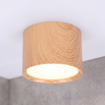 BRILAGI - Badkamerspot SMOOTH 1xGX53/15W/230V 60x82 mm eikendecor IP54