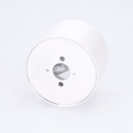 BRILAGI - Badkamerspot SMOOTH 1xGX53/15W/230V 60x82 mm wit IP54