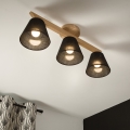Brilagi - Bevestigde hanglamp ANTHONY 3xE14/40W/230V eiken/zwart