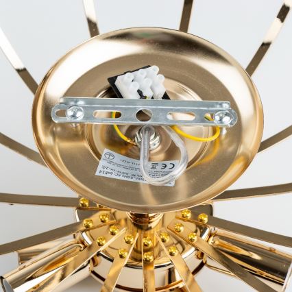Brilagi - Bevestigde hanglamp CRYSTAL 6xE14/60W/230V goud