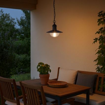 Brilagi - Buitenhanglamp MOLDE 1xE27/60W IP44 zwart