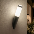 BRILAGI - Buitenmuurlamp ELIA 1xE27/20W/230V IP44 antraciet